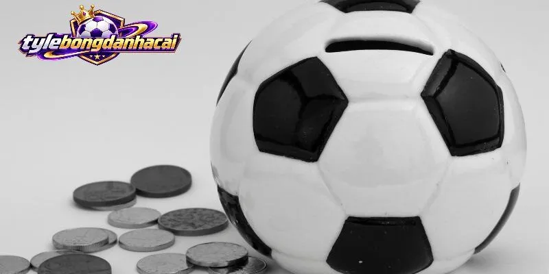Nhận Định Bongdanhacai là gì?