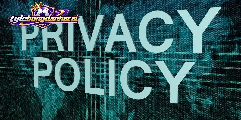Cách Bongdanhacai sử dụng và bảo vệ dữ liệu