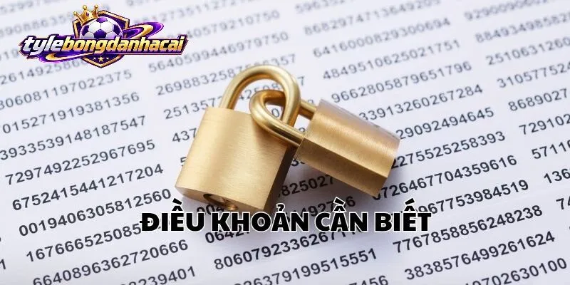Nội dung Điều Khoản Điều Kiện