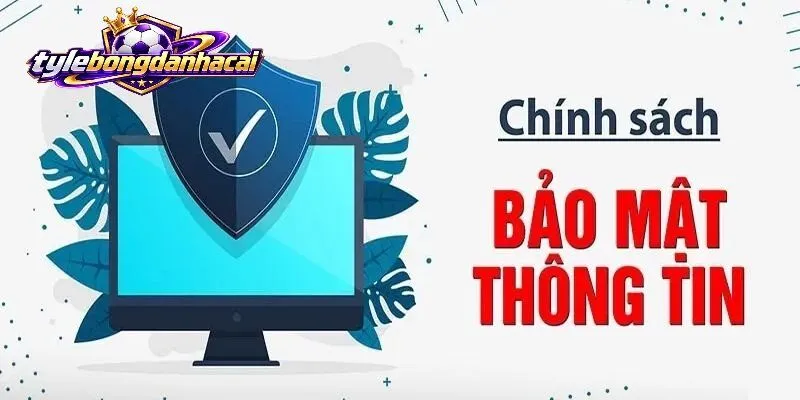 Bongdanhacai thu thập những thông tin nào?