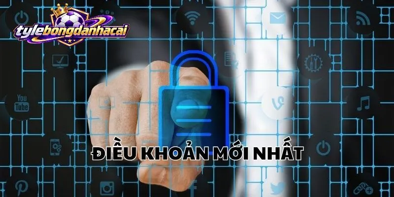 Vì sao người chơi nên đọc Điều Khoản Điều Kiện Bongdanhacai?