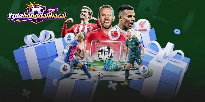 Cách đọc Kết Quả Lượt Cuối Cúp C1 hiệu quả