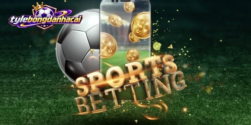 trang chu uy tin Trang Chủ Bongdanhacai có gì đáng chú ý?